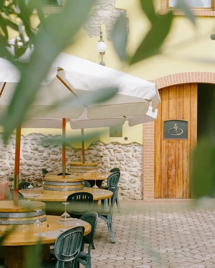 Tra Storia e Futuro: Degustazione Vini e Light Lunch/Dinner sulle Colline del Garda 5